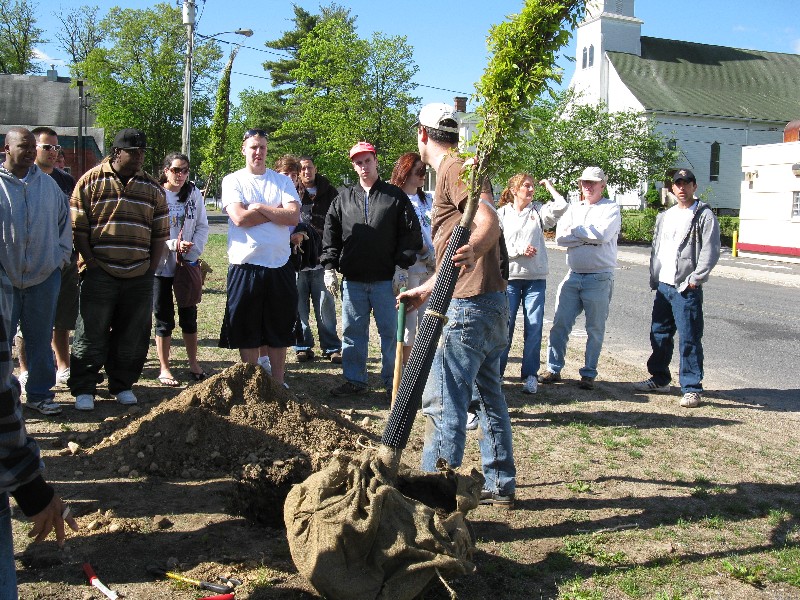 Click to view picture details [17274]