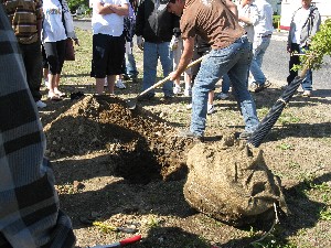 Click to view picture details [17275]