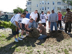 Click to view picture details [17277]