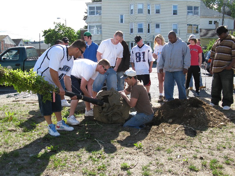 Click to view picture details [17277]