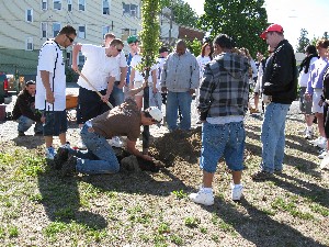 Click to view picture details [17279]