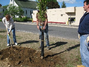 Click to view picture details [17281]