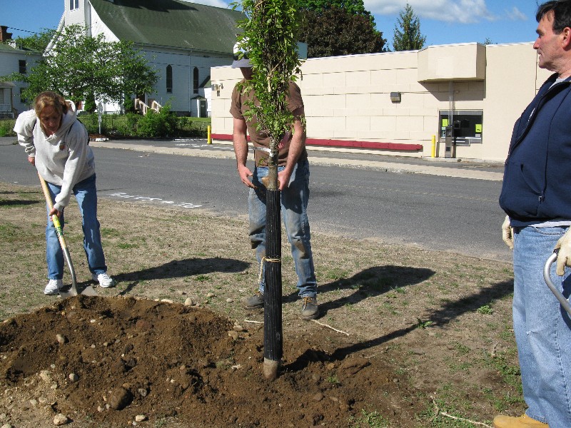 Click to view picture details [17281]