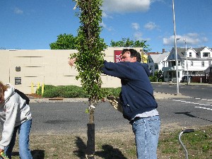 Click to view picture details [17282]