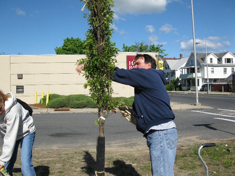 Click to view picture details [17282]