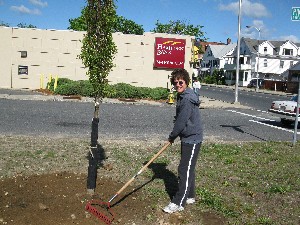 Click to view picture details [17283]