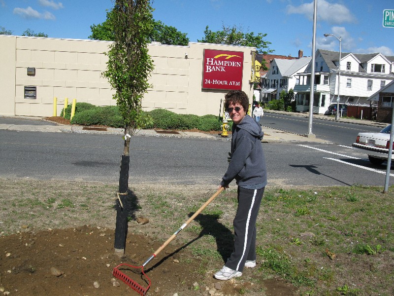 Click to view picture details [17283]