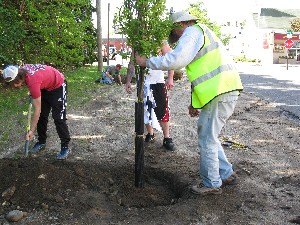 Click to view picture details [17286]