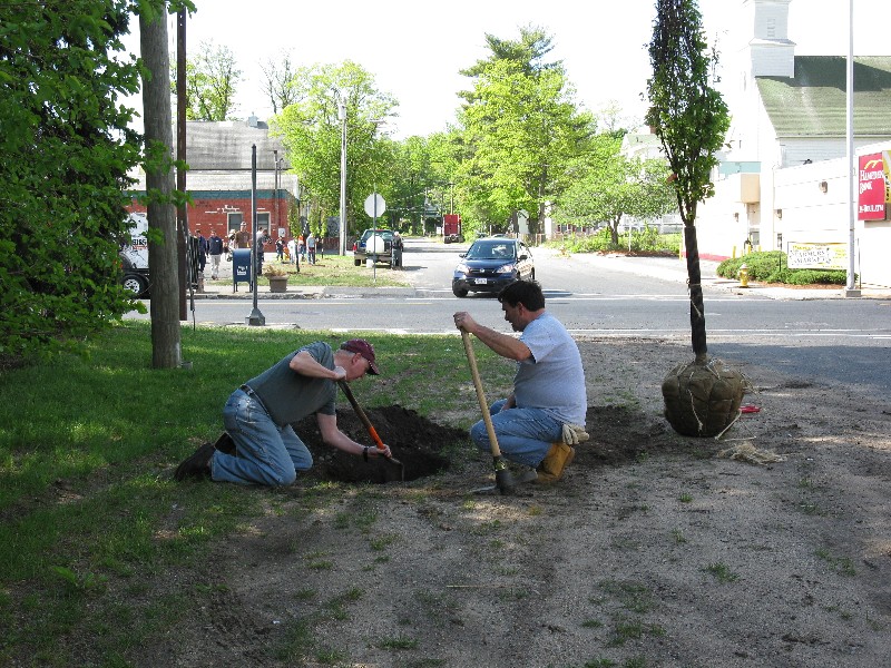 Click to view picture details [17287]