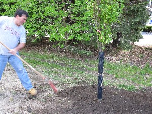 Click to view picture details [17288]