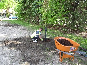 Click to view picture details [17289]