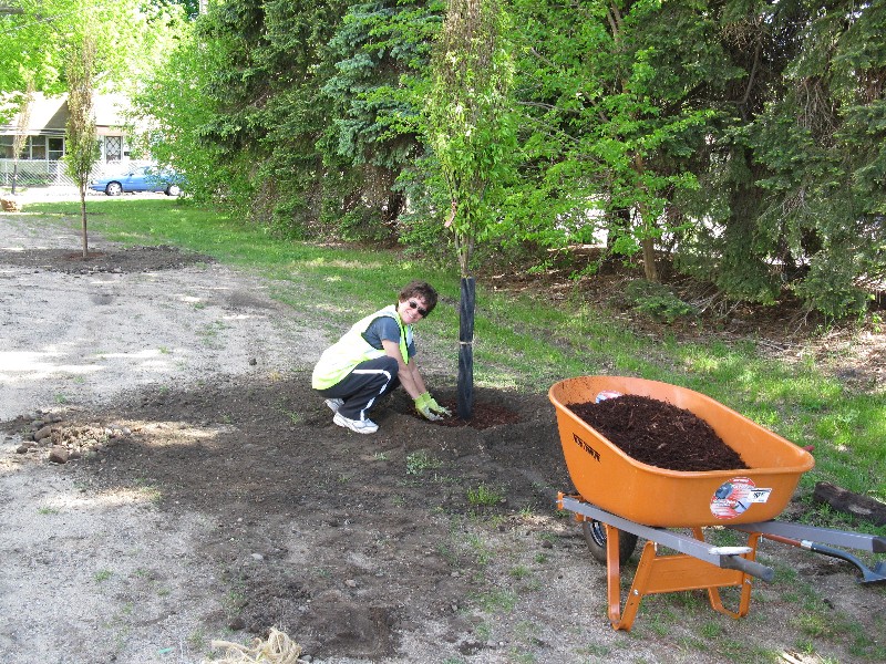 Click to view picture details [17289]