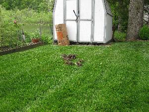 Click to view picture details [17299]
