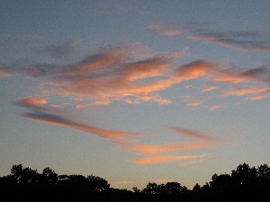 Click to view picture details [17896]