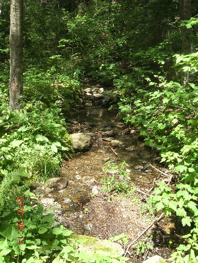 Click to view picture details [17905]