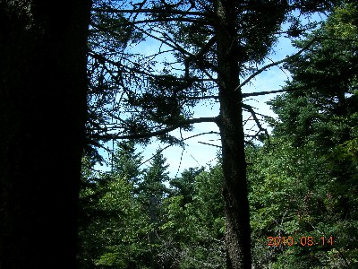 Click to view picture details [17907]