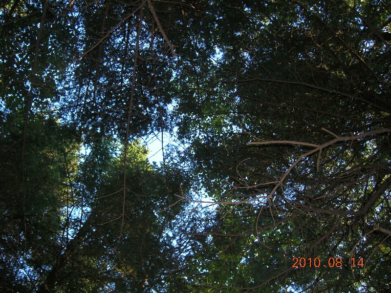 Click to view picture details [17926]