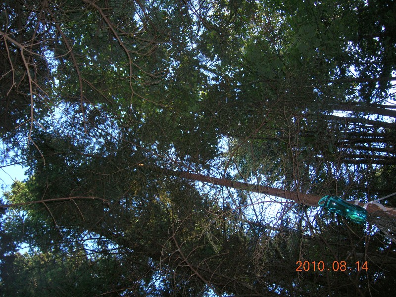 Click to view picture details [17927]