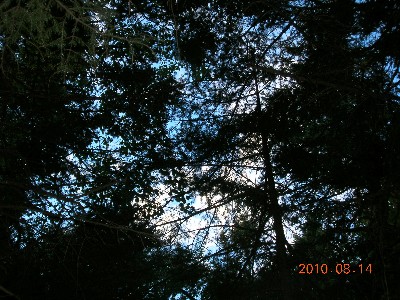 Click to view picture details [17933]