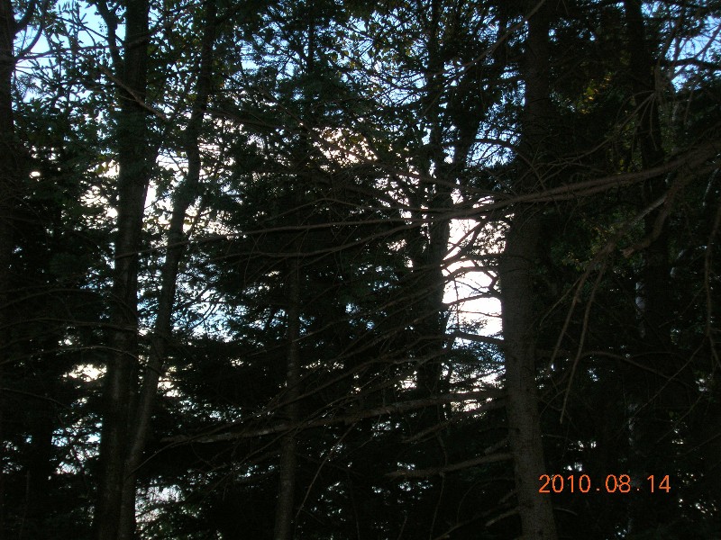 Click to view picture details [17934]