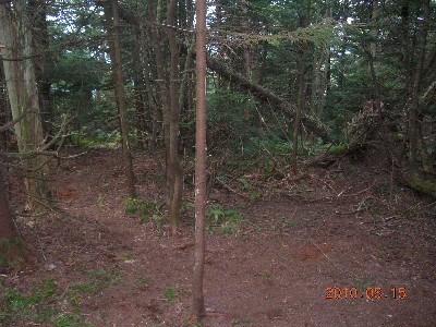 Click to view picture details [17944]