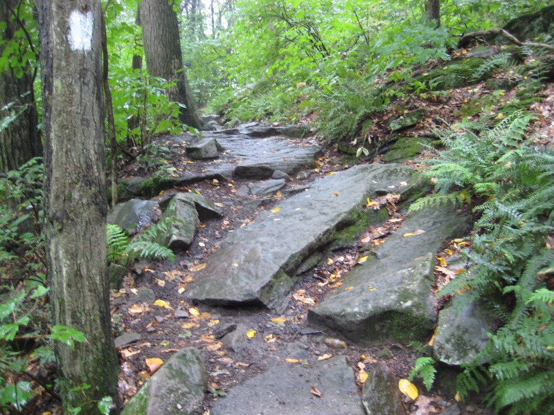 Click to view picture details [18036]