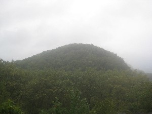 Click to view picture details [18063]