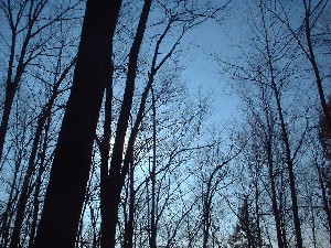 Click to view picture details [1822]