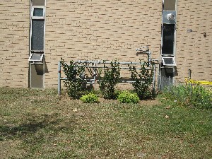 Click to view picture details [18242]