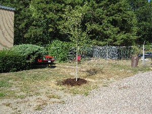 Click to view picture details [18247]