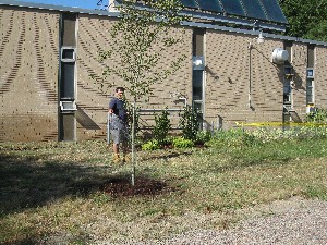 Click to view picture details [18248]