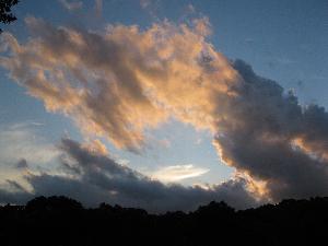 Click to view picture details [18251]