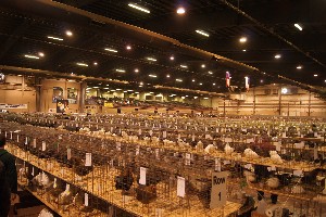 Click to view picture details [18297]