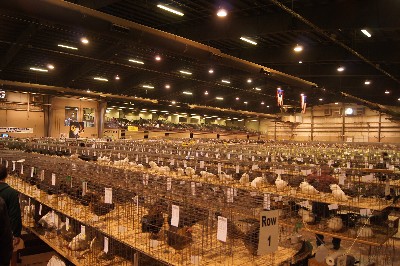 Click to view picture details [18297]