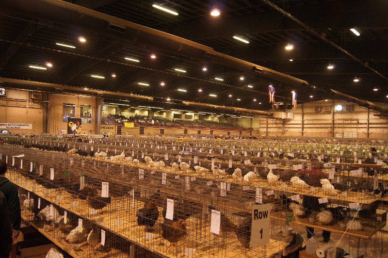 Click to view picture details [18297]