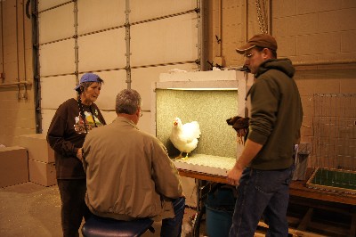 Click to view picture details [18298]