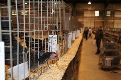 Click to view picture details [18303]