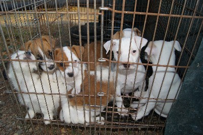 Click to view picture details [18304]