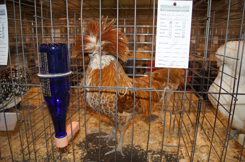 Click to view picture details [18306]