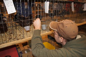 Click to view picture details [18307]