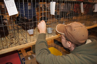 Click to view picture details [18307]