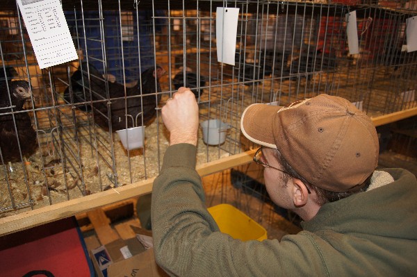 Click to view picture details [18307]