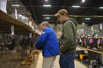 Click to view picture details [18314]