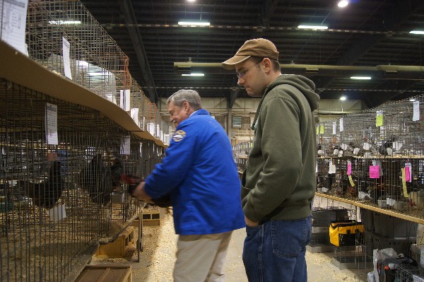 Click to view picture details [18314]