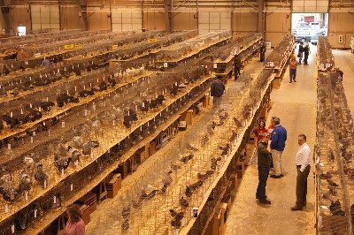 Click to view picture details [18316]