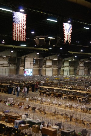 Click to view picture details [18317]