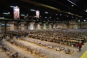 Click to view picture details [18318]