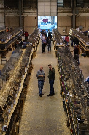 Click to view picture details [18319]