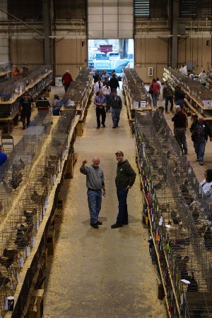 Click to view picture details [18320]