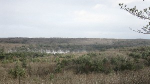 Click to view picture details [18433]